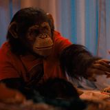 Es Cine: Una fiera, un primate violento, lo nuevo de Coixet, Series y Noticias Flash