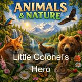 Little Colonel's Hero - Annie Fellows Johnston