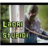 #partinico Lo stupido è tornato
