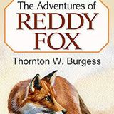 The Adventures of Reddy Fox by Thornton W. Burgess | Full Audiobook | Audiobook Time