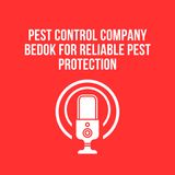 Pest Control Company Bedok for Reliable Pest Protection