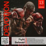 MGD: Fight, Believer!