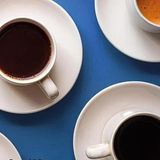 Elena Girardin "100 caffè con la prof"
