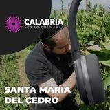 Santa Maria del Cedro, la meta dei rabbini