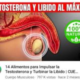 14 Alimentos para Impulsar la Testosterona y Turbinar la Libido _ CUERPO MUSCULOSO