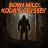 SO EP: 560 The Big Decision