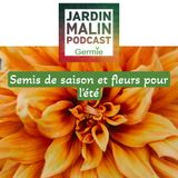 Semis de saison et fleurs pour l'été
