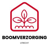 Het belang van boomverzorging voor de gezondheid van uw tuin