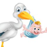 The Stork Baby Craze of 1820