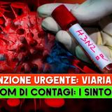 Influenza 2026, boom di casi gravi: Cause Sintomi E Rimedi Della Variante K!
