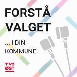 Region Sjælland - Forstå valget