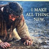 Episode 5 - New heaven New Earth