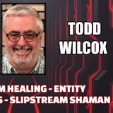 Quantum Healing - Entity Attachments - Slipstream Shaman w/ Todd Wilcox