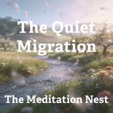 Calming Bedtime Story for Adults | A Quiet Migration