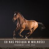 Co nas pociąga w wolności - fragment live 225