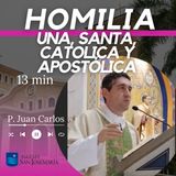 HOMILIA: Una, Santa, Católica y Apostólica (13 min)