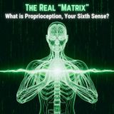 The Real "MATRIX": What is Proprioception, Your Sixth Sense?
