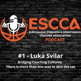 #1 Luka Svilar - Bridging Coaching Cultures: There is more than one way to skin the cat