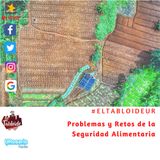 Problemas y retos de la seguridad alimentaria