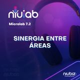 Sinergia entre áreas