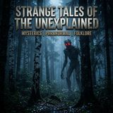 The Mocking Game: Terrifying Mimicry and the Predators Among Us
