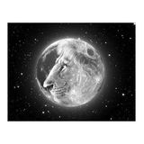 The ZOE MOON ASTROLOGY Show WHAT'S NEXT!