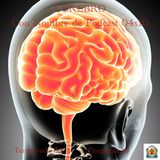 CEREBRO | LuisBermejo.com 04x10