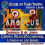 ANGELUS DE HOY DOMINGO 8 DE JUNIO 2025, 🙏ORACION A NUESTRA MADRE 🌹LA VIRGEN MARIA 🙏.