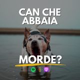 135 - Can che abbaia, morde? - Ecco la storia di Bimba, il cane che abbaia al guinzaglio.