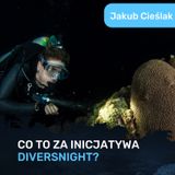 Co to jest DIVERSNIGHT?