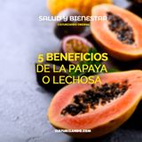 5 beneficios de la papaya o lechosa • Salud y Bienestar - Culturizando