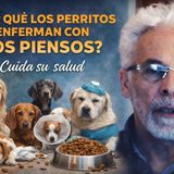 La Salud y enfermedad de tu mascota. 🐕