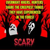 Overnight Hikers, Hunters Share The Creepiest Things They Have Experienced In The Forest