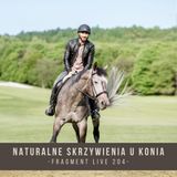 Naturalne skrzywienie u konia - fragment live 204