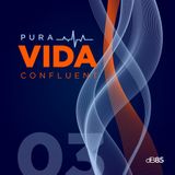 E3. Cómo se vive en el área productiva