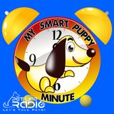 My Smart Puppy Minute Episode 11 Managing Mouthing 1,2,3 on PetLifeRadio.com