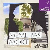 Même pas mort 1/7 : Un petit matin d'octobre