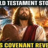The Complete Old Testament Story _ Creation to Israel_s Fall _ Understand God_s Covenant Plan