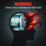 WARNING: Chronic STRESS is Shrinking Your Brain's CEO (And Growing Its FEAR Center)
