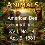American Bee Journal Vol XVII No 14 Apr 6 1881 - Various