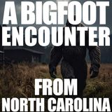 A North Carolina Bigfoot Eye-Sighting Encounter | I Was Sitting In My Driveway (Unexplained Mystery)