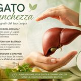 Fegato e stanchezza cronica: quando la fatica può nascondere un problema epatico