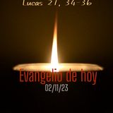 Día 02-12-23 Meditación del Evangelio con los escritos de Luisa Picarreta