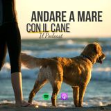 124 - Vuoi andare a mare con il tuo cane? Ecco cosa è opportuno sapere.