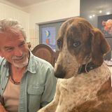The Heartwarming Portuguese Rescue Story of Jacko the Dog (-: #portugal #dogs #rescue #jacko