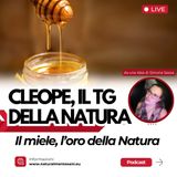 Cleope – Il TG radio della Natura: Il miele, l’oro della Natura