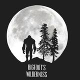 Early Morning Trespasser - Bigfoot Encounters
