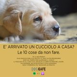 #016 - E' arrivato un cucciolo a casa? Cosa fare e cosa non fare.