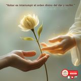 EP01.8 | Cuando robas… ¿te estás robando a ti? | Metafisica 4 en 1