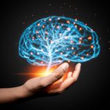 Faça sua Mente te OBEDECER e CONQUISTE Tudo o que Quiser